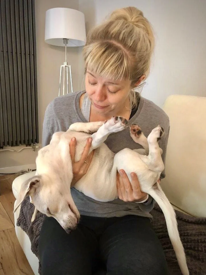 26752659-9F74-4C30-9C19-493278EDACBE