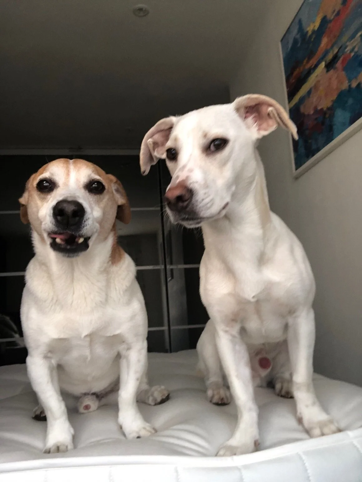 9C0B87EB-B6C9-43A4-BBCE-E8737848001C