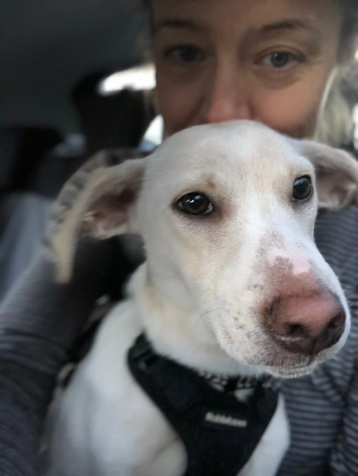 50825442-CC9F-49A5-AB48-26384FCC4AAB