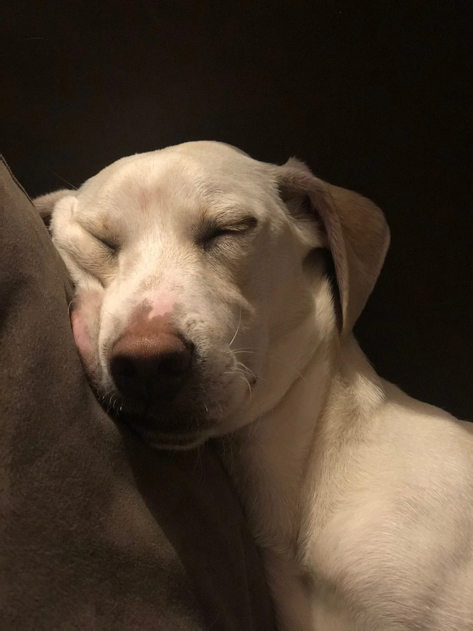 8C3CF753-8B6B-43E1-A00E-48D04E5C4AE4