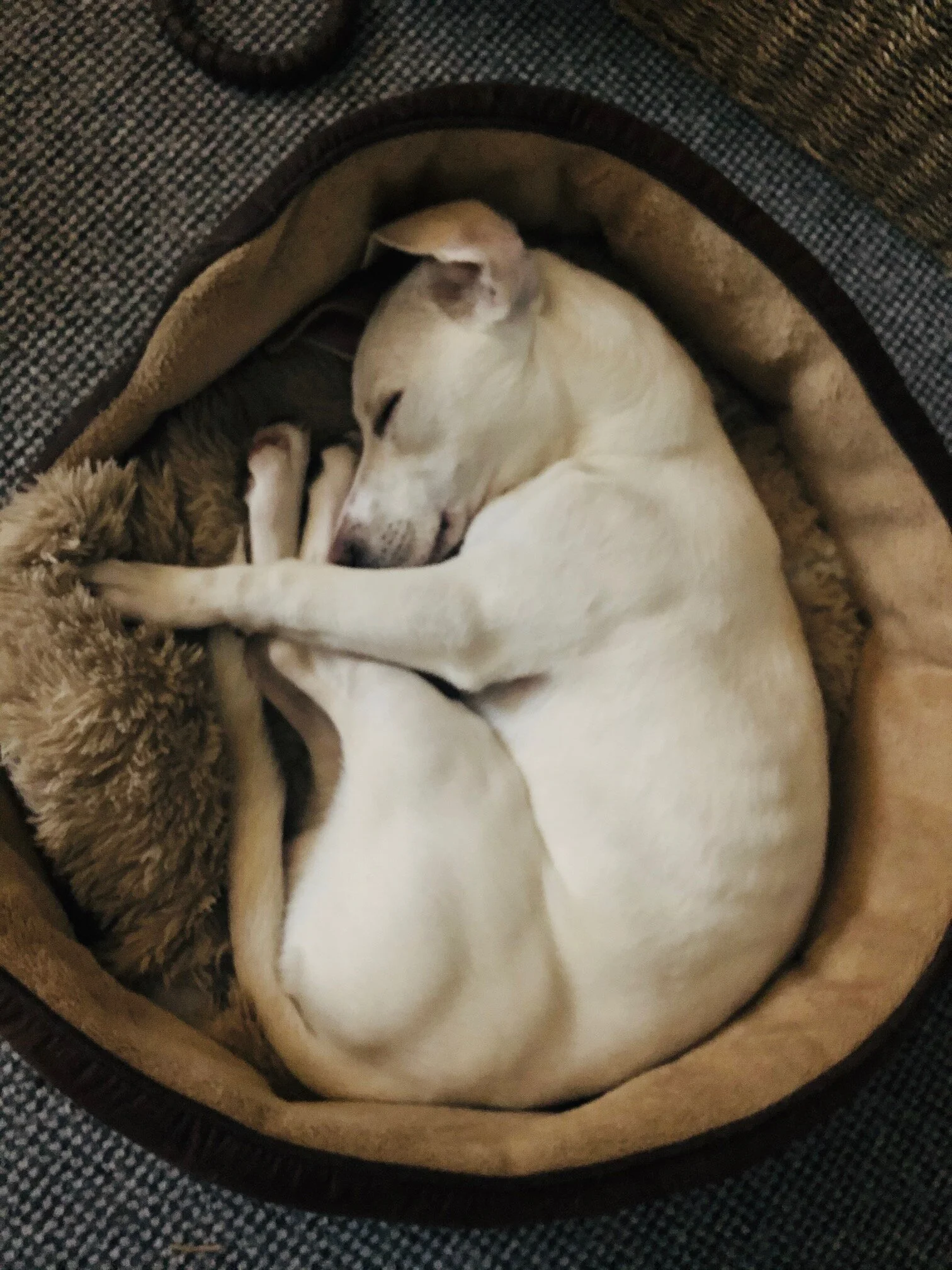 78CC5EB2-9689-4AC5-956B-664F9234A742