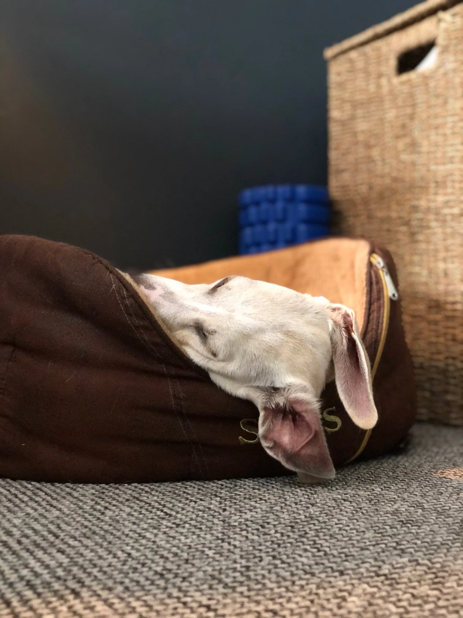 DE0B2734-5C26-4254-B7AF-7AF381F832DB