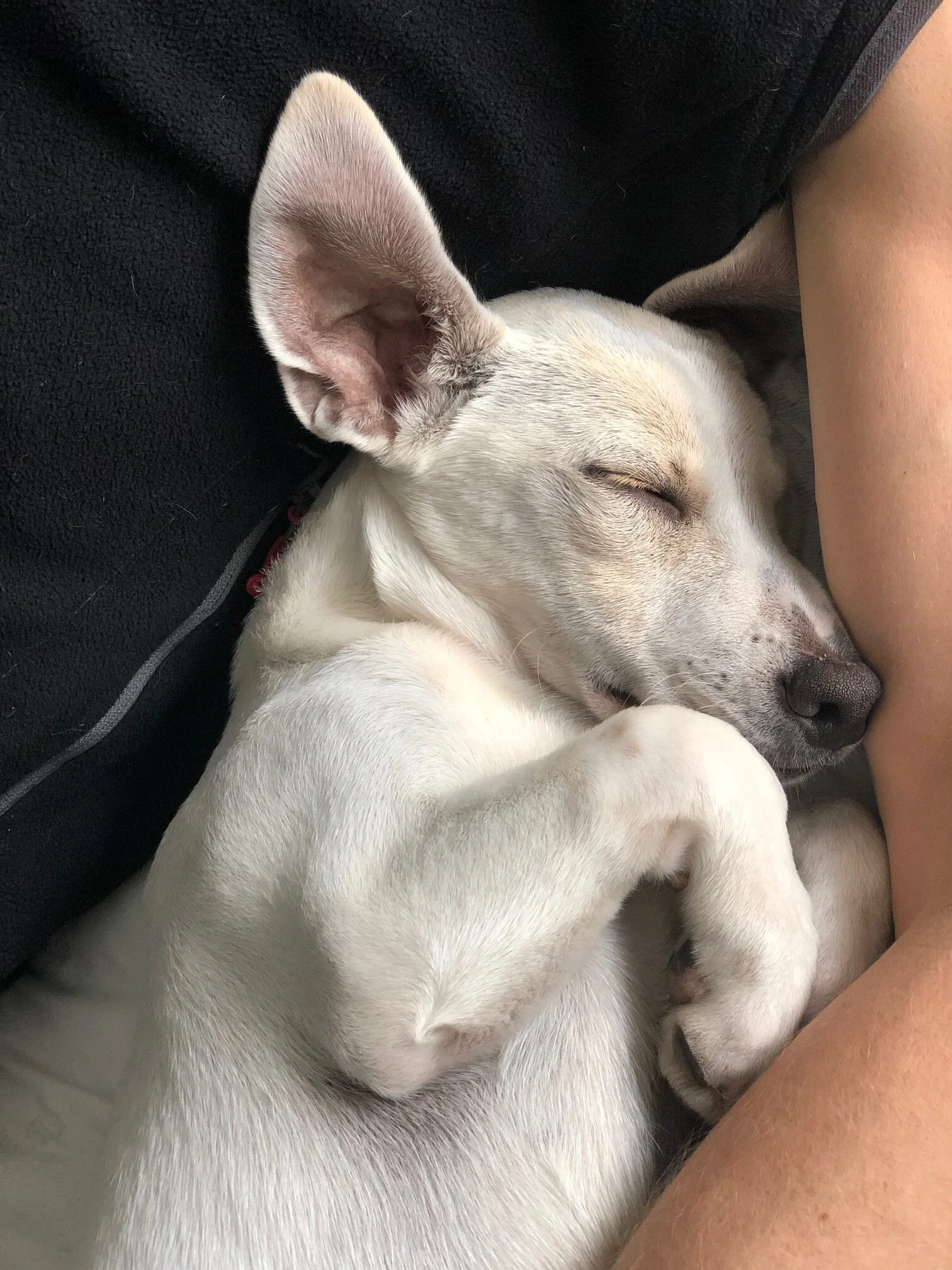 96C3F5AA-320E-4DFC-B3E6-F3B17426B53C