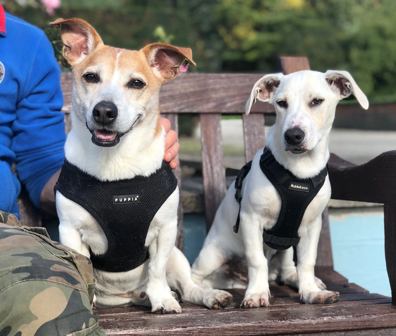 C7C0CD3A-928B-470C-BEDB-28E153CBDFAF