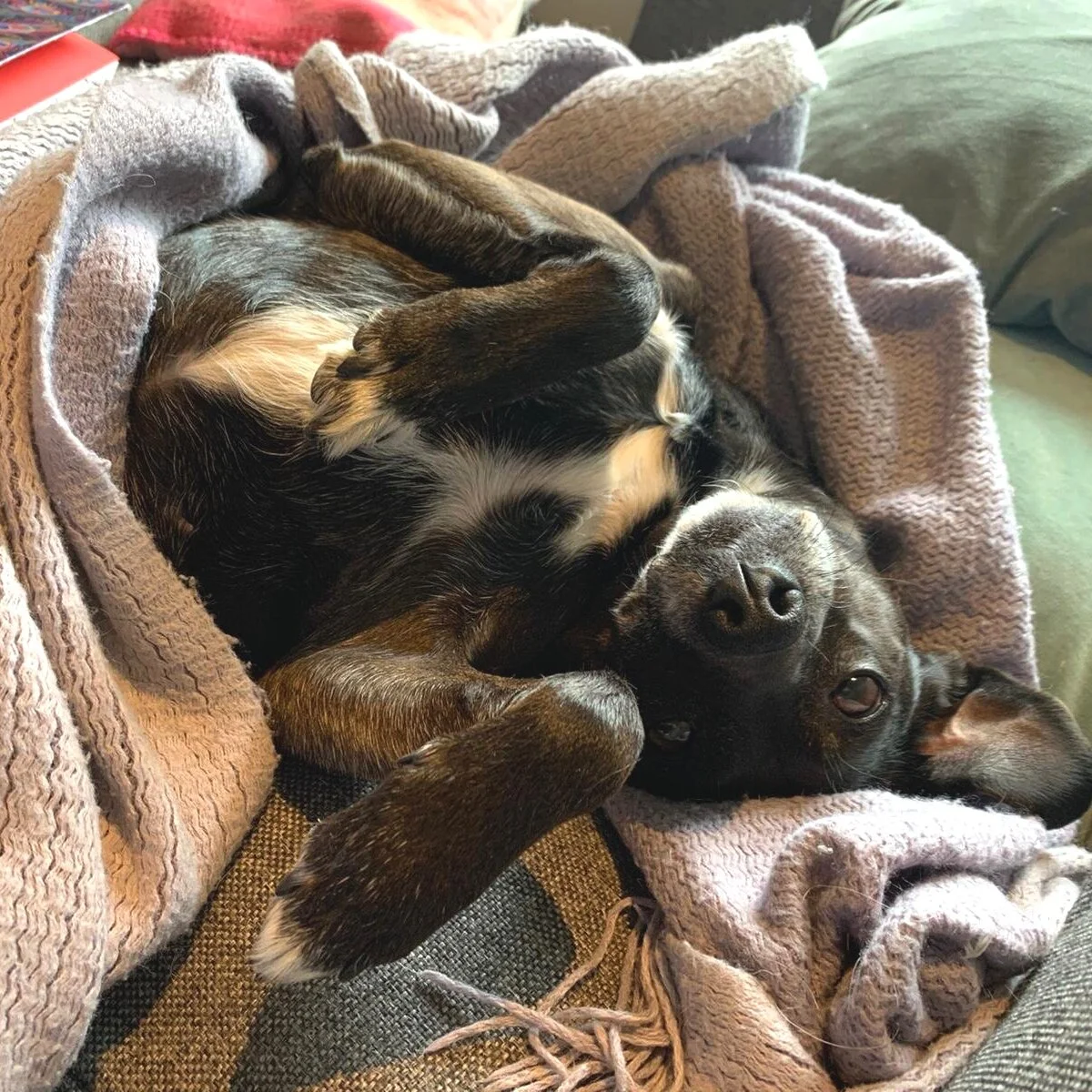 D143DC72-4212-46B1-8214-74146743D088