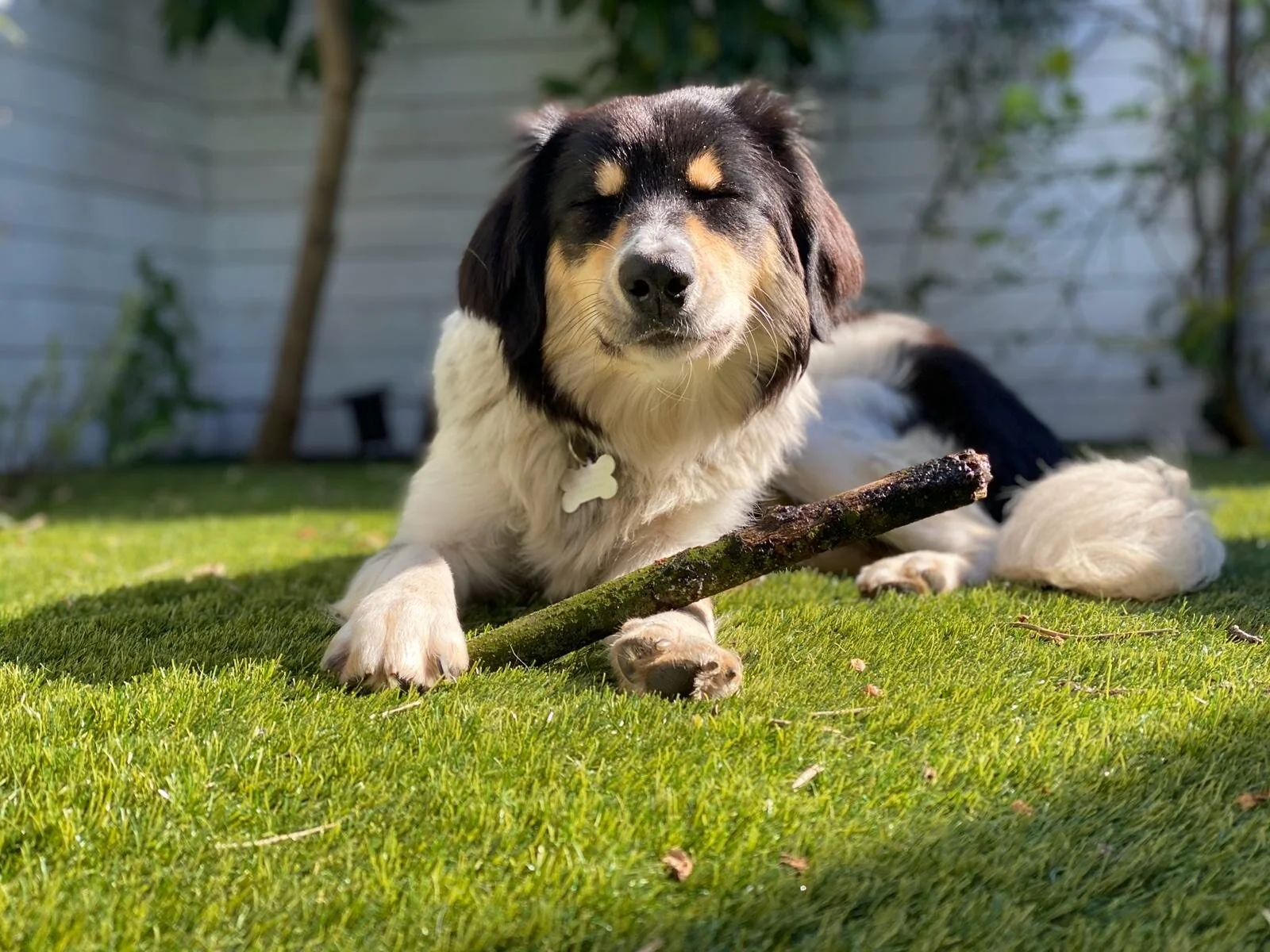 362C346A-8EB8-4044-993D-51469E6050CA