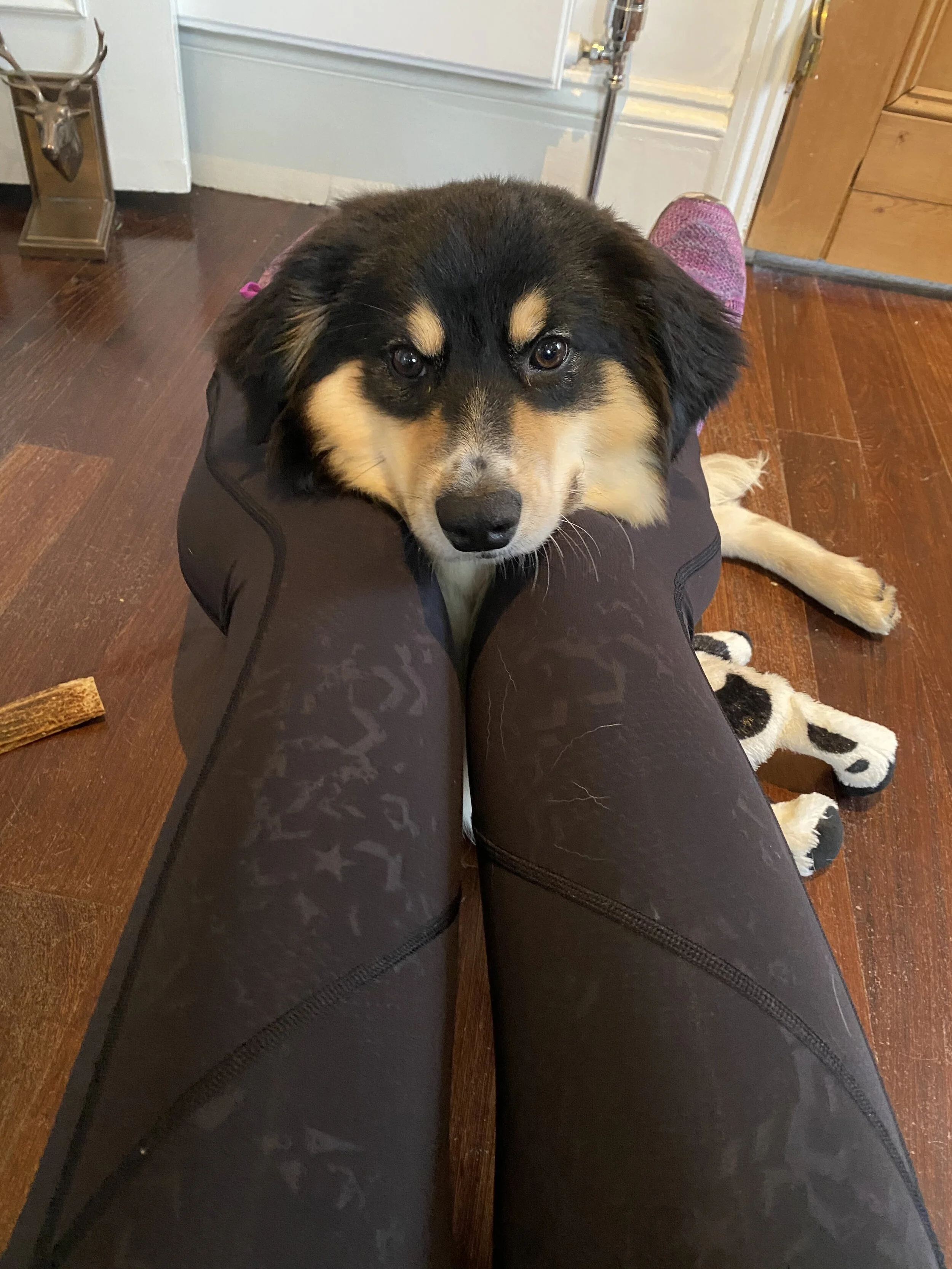 7214EDD9-4E30-4975-981F-A678B7908627