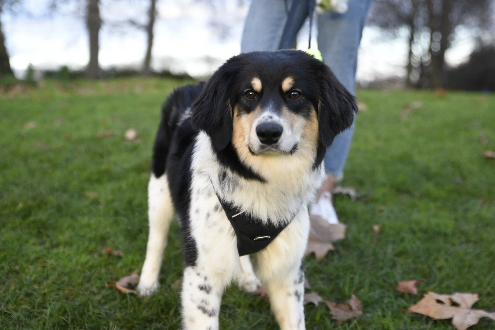 A91EBE38-03DA-4DEB-868D-FCFB132CB7C5