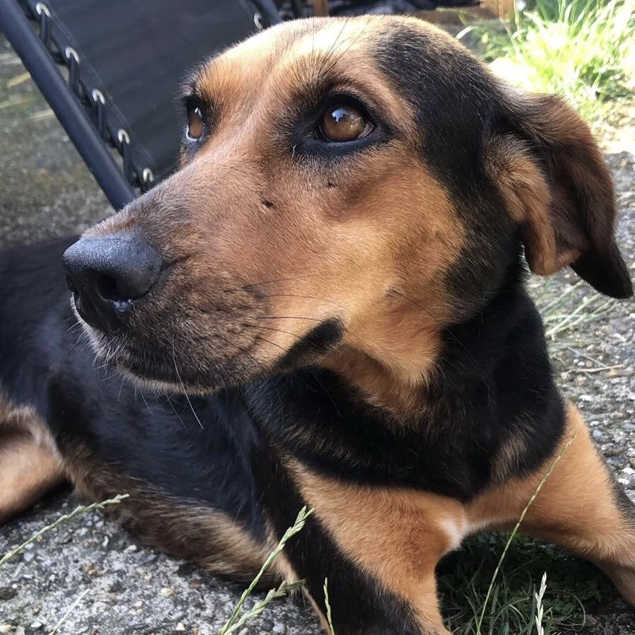 4AA98865-08AA-4E99-A3EC-D942E838A6AB