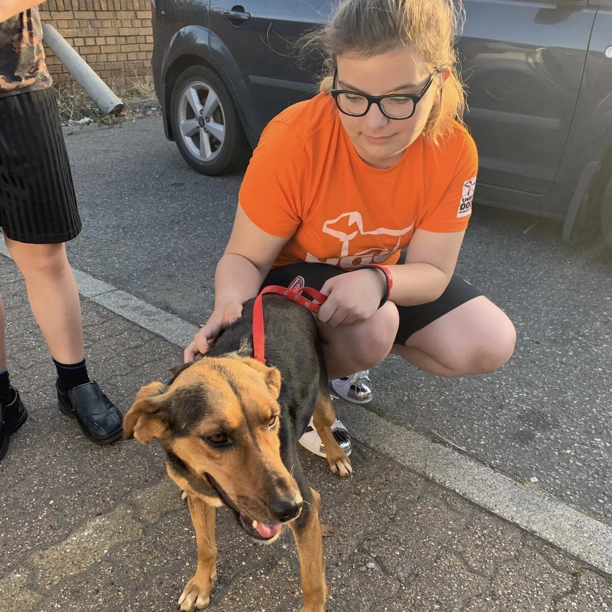 8956C774-C24C-4255-B3A8-B5FA974A728C