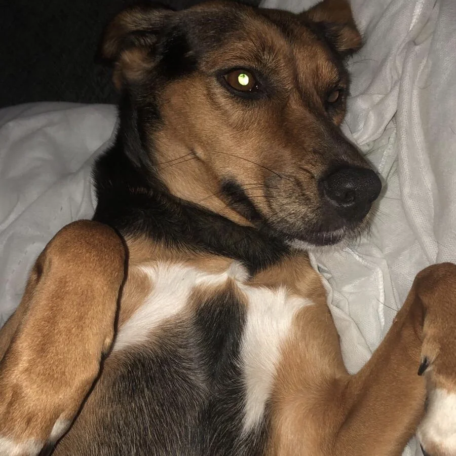 430C277A-149B-413F-8F62-E5BB5034D7D4