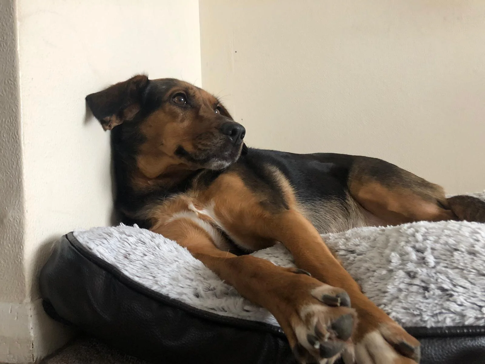 AC2FFD49-CD4A-414D-96E2-2B74C26C0419