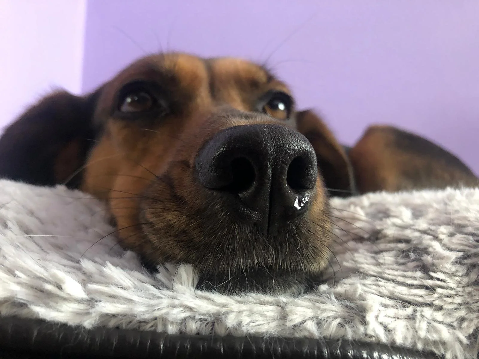 27DA3DD2-0E65-4ECB-8F8C-F6B608638739