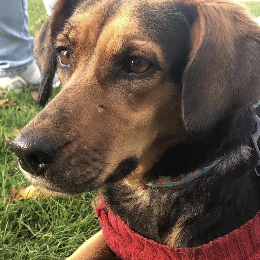 5A413380-07DC-41ED-A29F-90FEC5D5E327