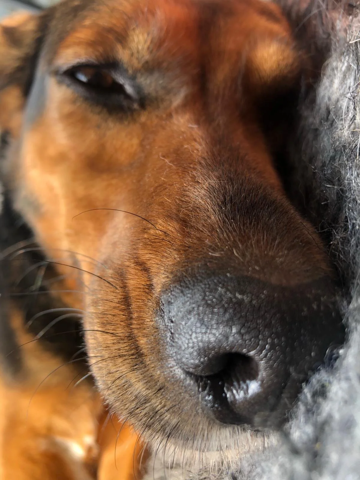 86D53BE7-A93B-4A76-AFA1-8E37FEA965E4