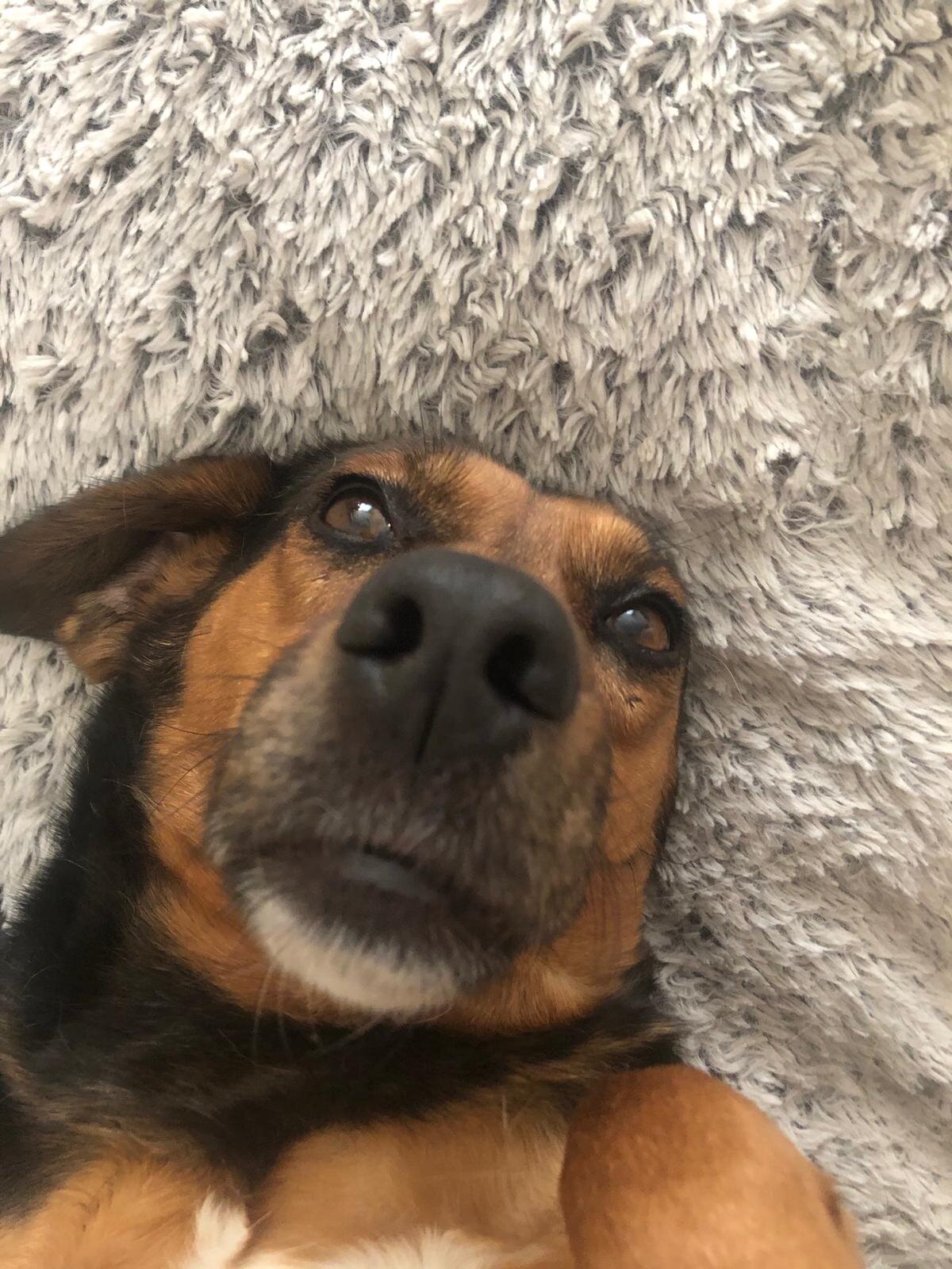 BDAD2836-B32A-401C-AE20-7F910B691DD1