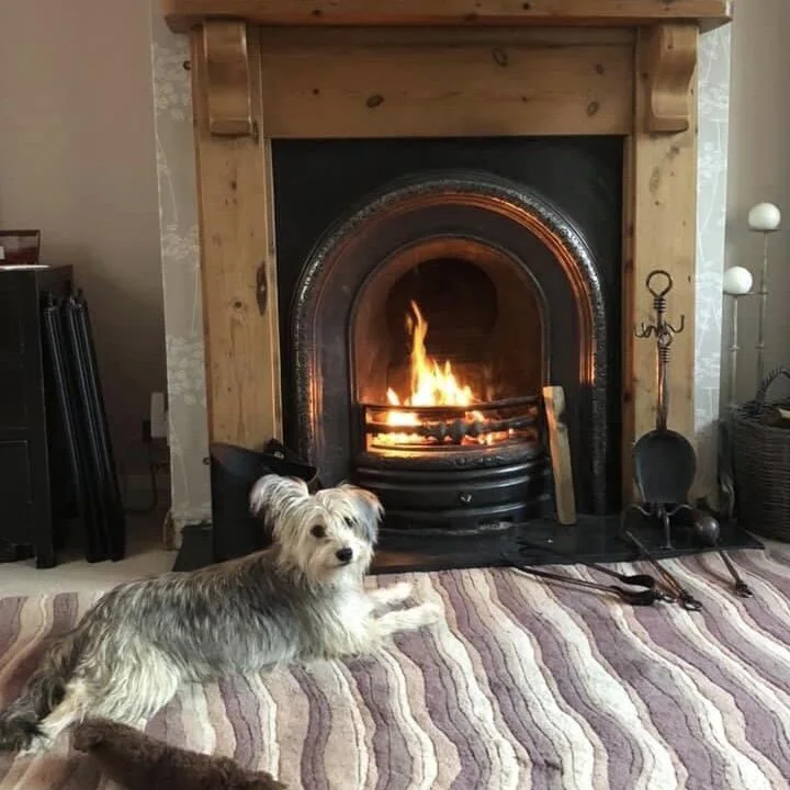 26BD12FF-7151-44B9-9739-AD8BCBBD30B8