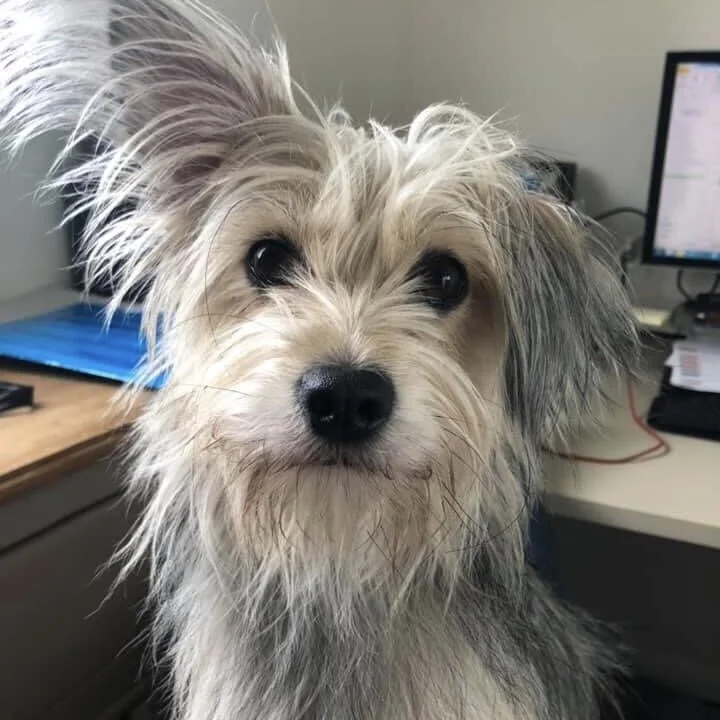 AE588F8A-9C9F-4FA2-A8CF-0E3F14F0D5D9