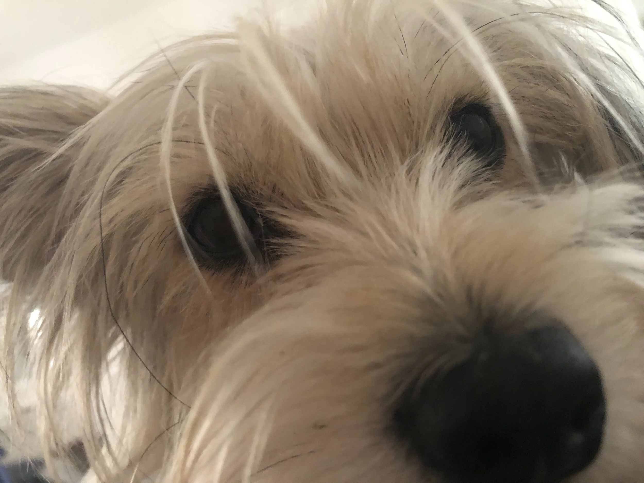 1A1D37B2-B6FF-4512-A71E-043DD094AA66