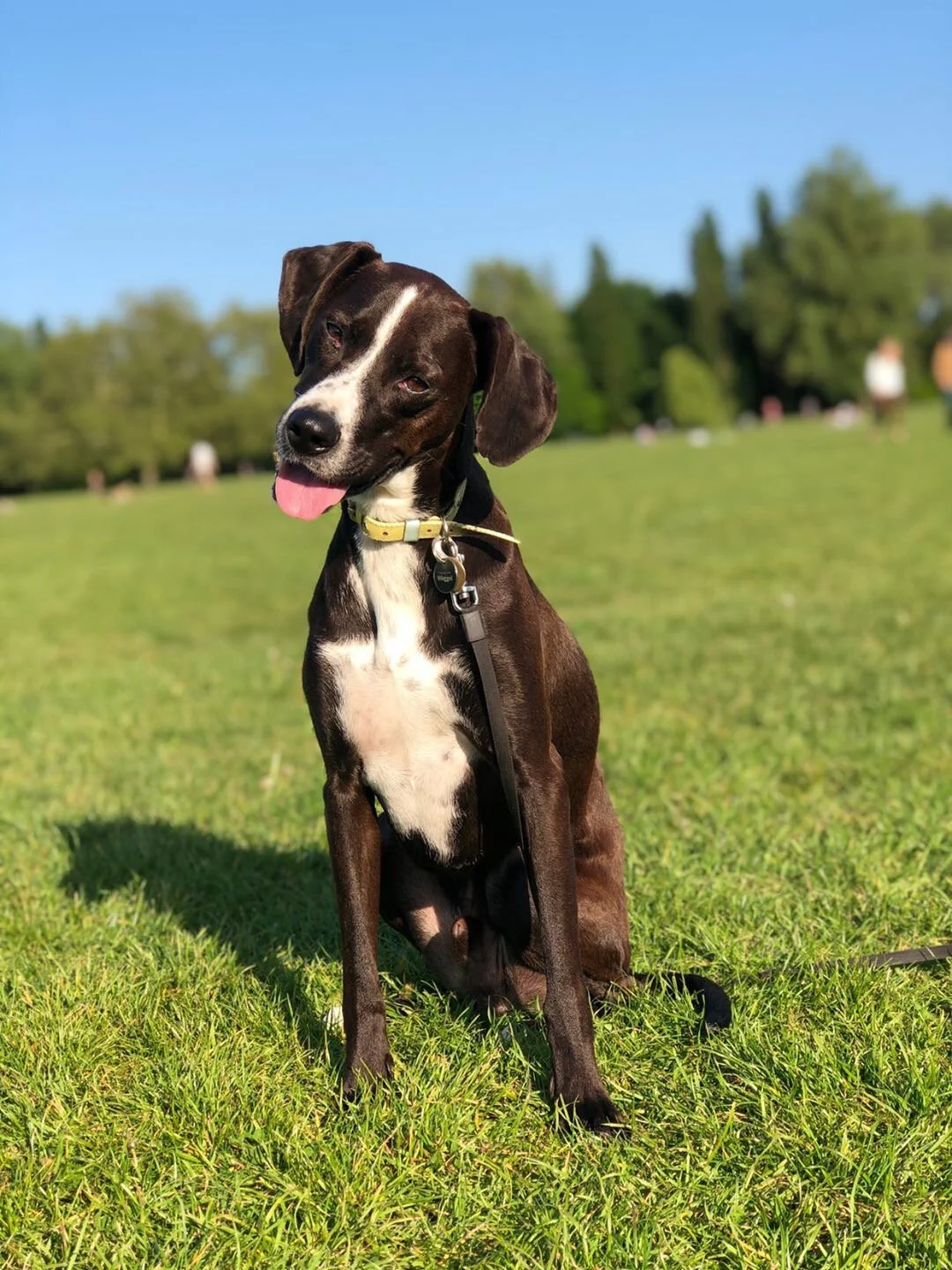 DB39E024-719B-4B59-AAEF-238702A999C3