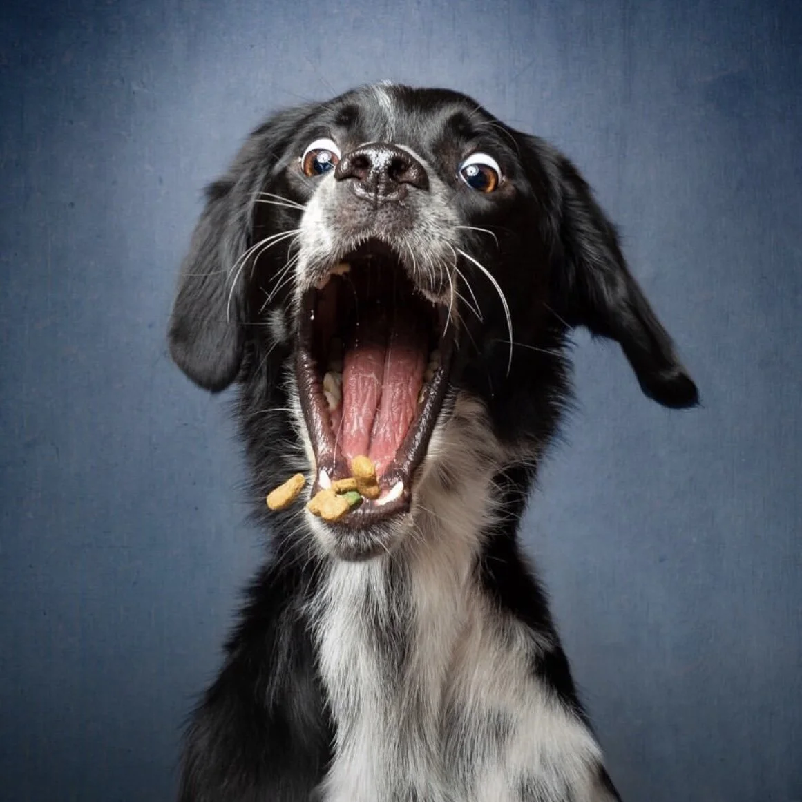 8D56E293-47D6-4F75-8B6D-A1A86D4E61A1