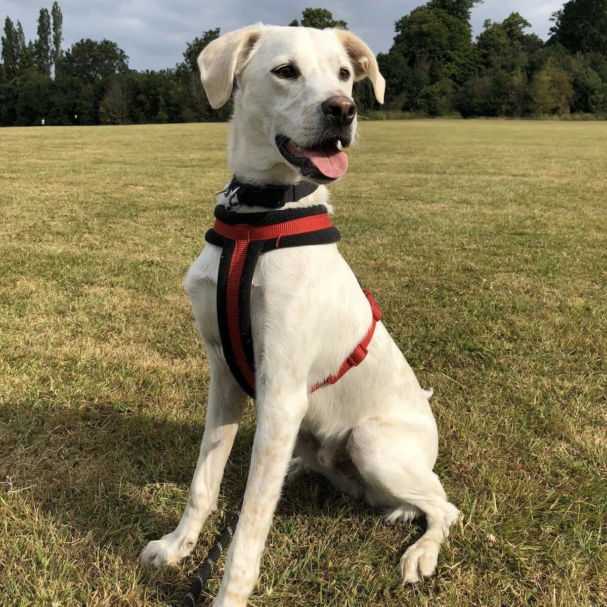 AD51C978-0C18-4563-BFC4-A40AEEBD31F4