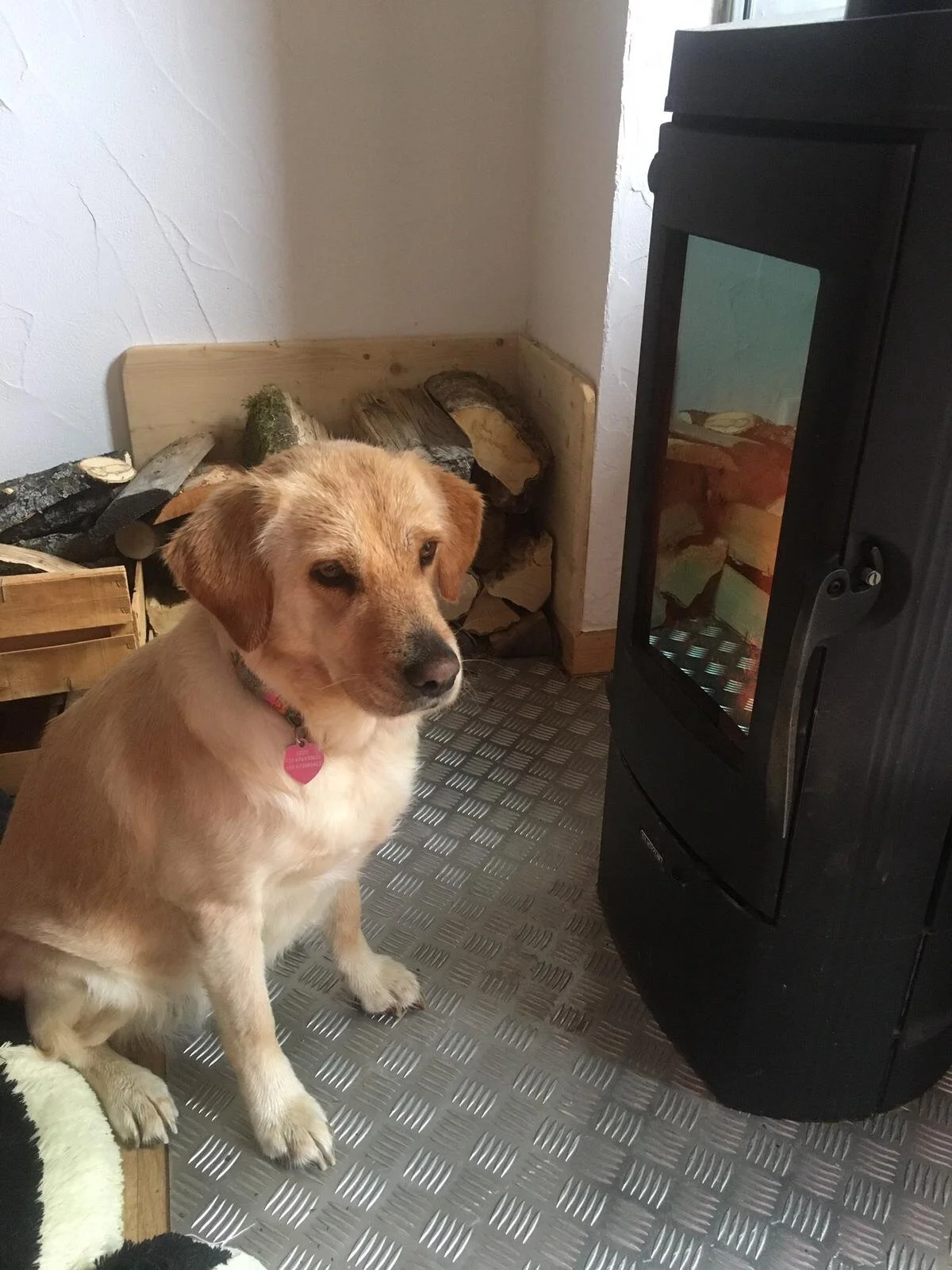 6A13090F-0F9A-4C99-B496-4BB05388228D