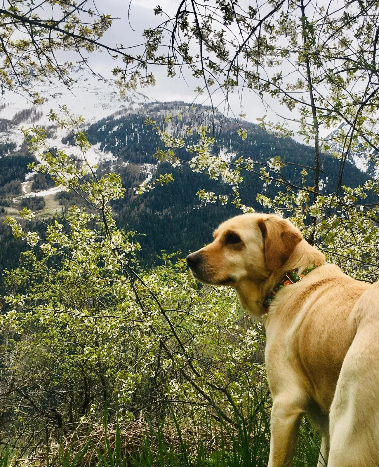 9DA499EA-1837-415F-A4B4-11D34EFF2808