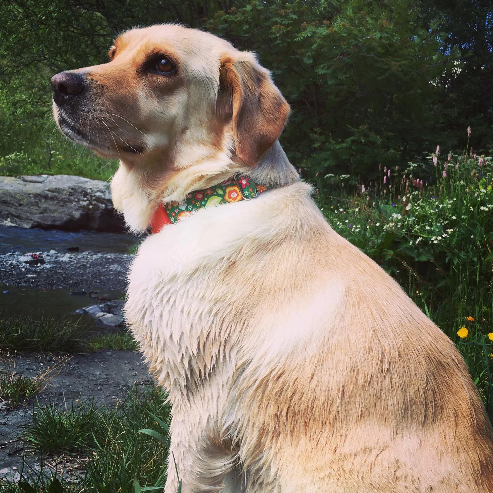 B29FBAD0-0599-4BD8-9405-B28C459E82F4