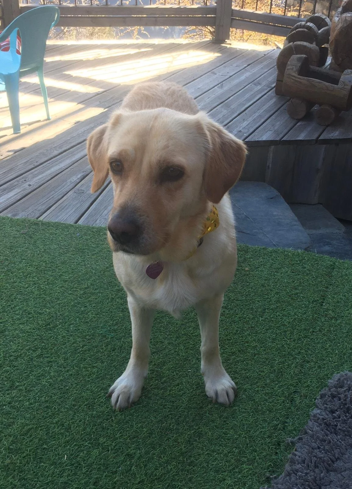 E107BC1D-8B5D-4F52-B2AE-4D9A03CA18B8