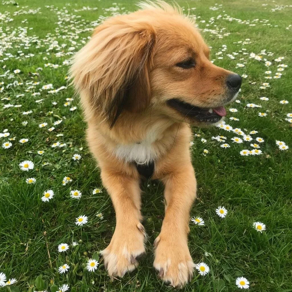 CB99187F-9391-44E6-B591-868C8E59836A