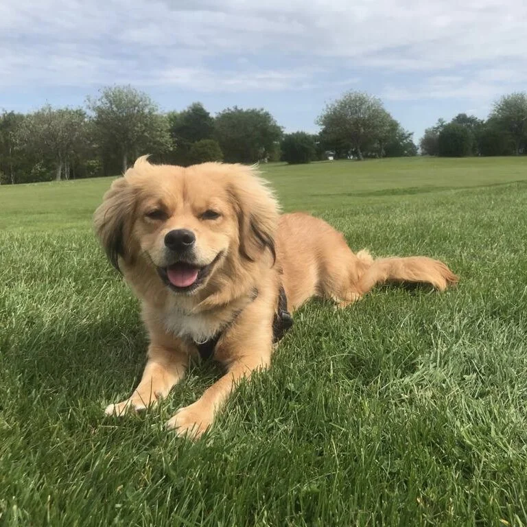 54361132-83D9-4856-B0BD-241D329F2A84