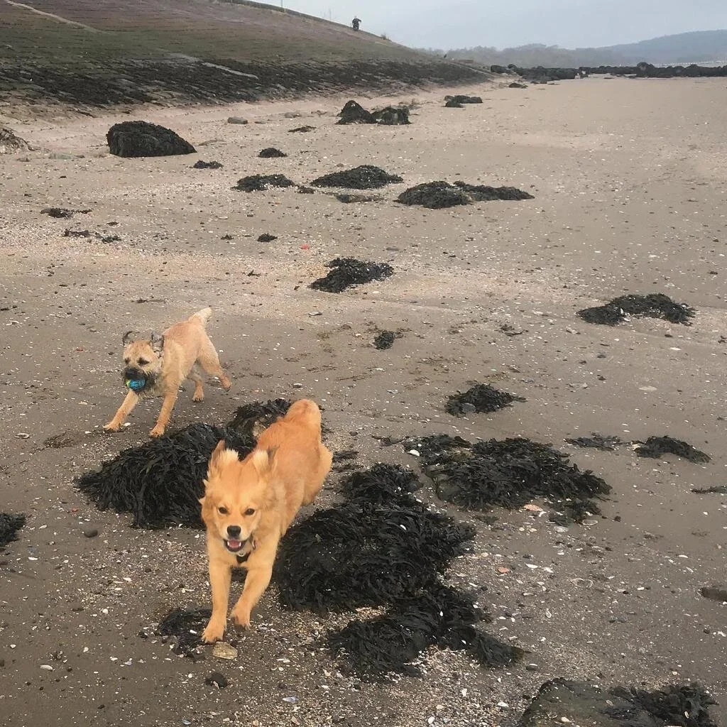 DDE07ADD-CF25-4BBA-A634-BD9BCF4E920E