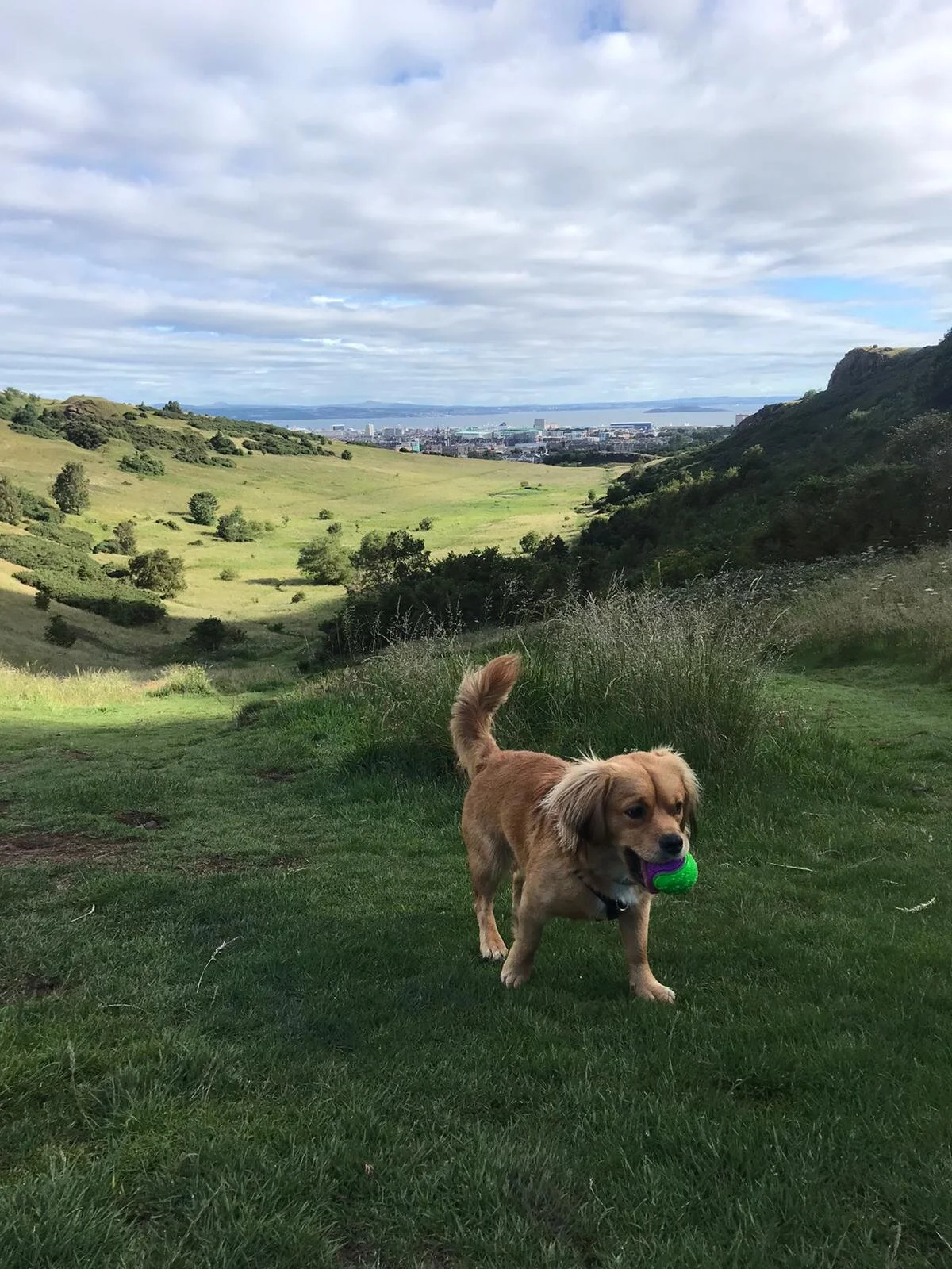 5EEBD422-1639-4780-A2D8-646EAF9D42B2