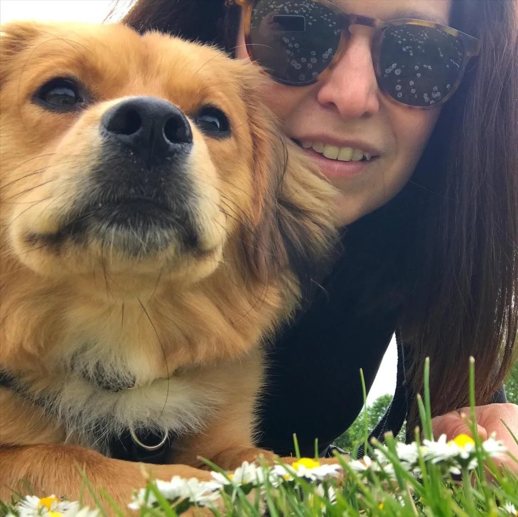 CE718AE3-322E-4C69-BF6E-7BC095B9C6B4