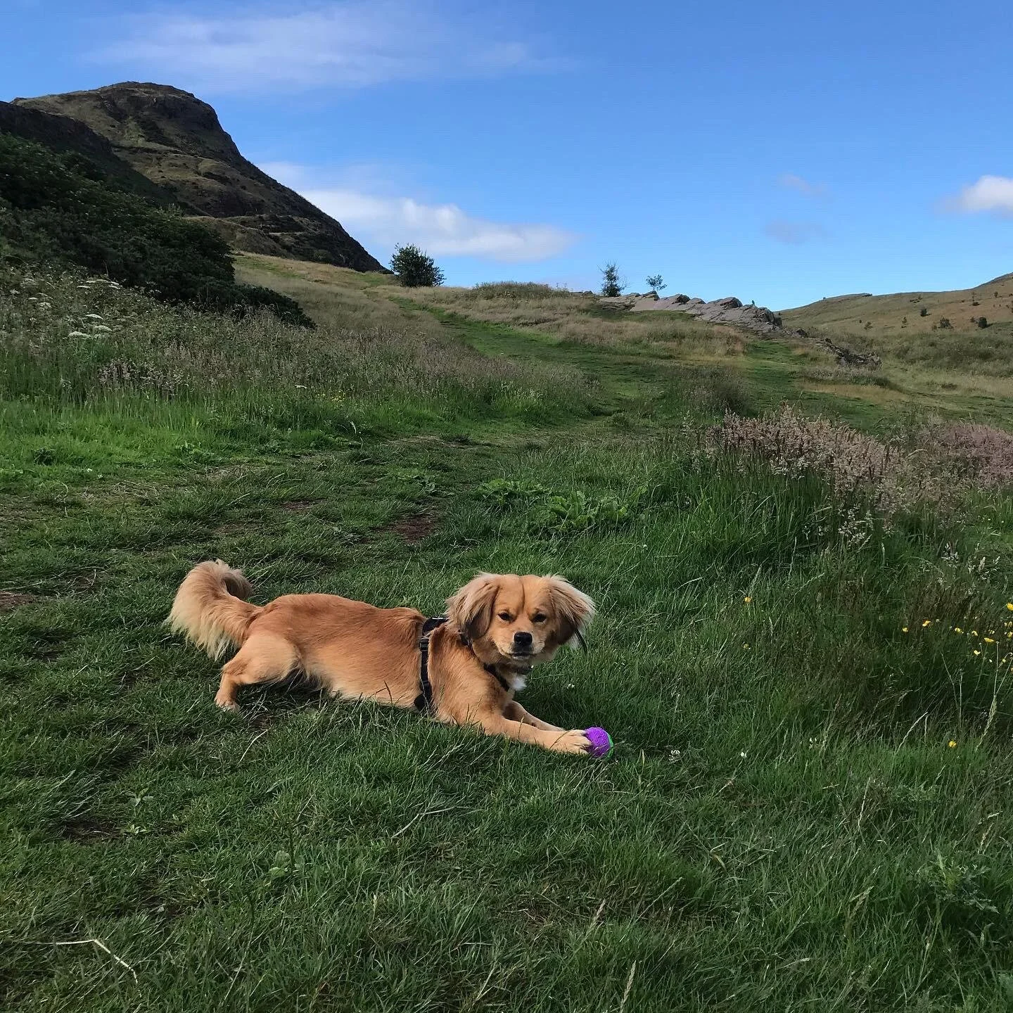 10D923A8-A46D-42EE-B76F-C628FC90122E