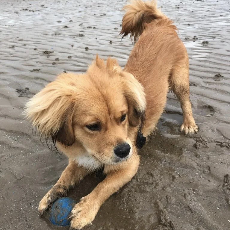 24475519-9906-4B7E-9EB2-3D018D51A2DB