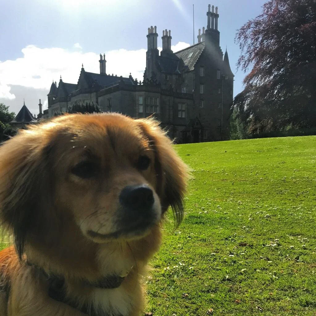 33D6430A-4266-4D75-BC81-EB8E1D2592B7