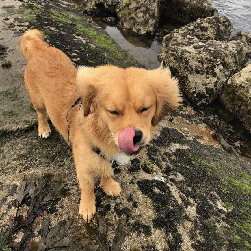 B4611F9E-D743-429C-86B6-E13CE1332B14