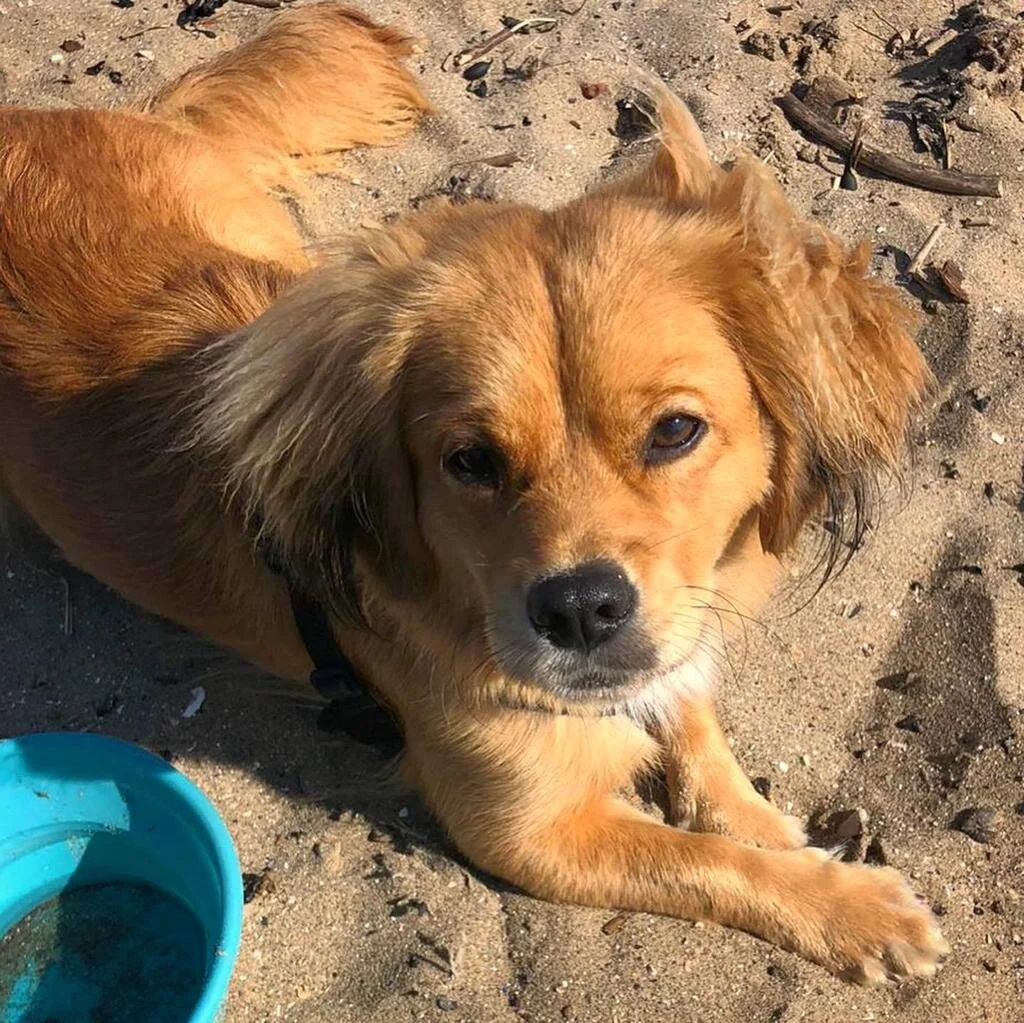 096AEC45-920F-412C-800F-6D6237C4A159