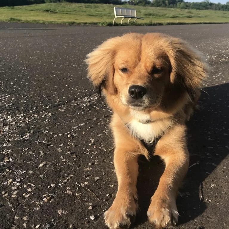 23E2EB09-3FA0-4DBA-BFD4-955713232A16