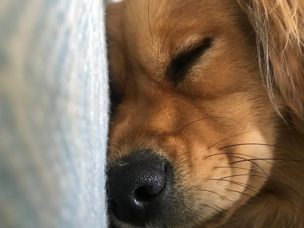 970DEF4B-918C-40B3-8601-FEA0EB05BA08