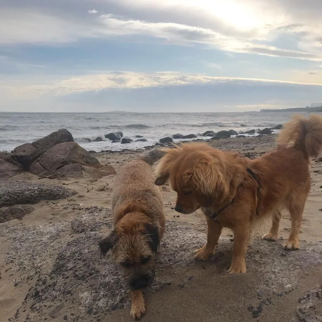 3ACCFF09-7E52-4A57-B91B-8234C2FB81A0