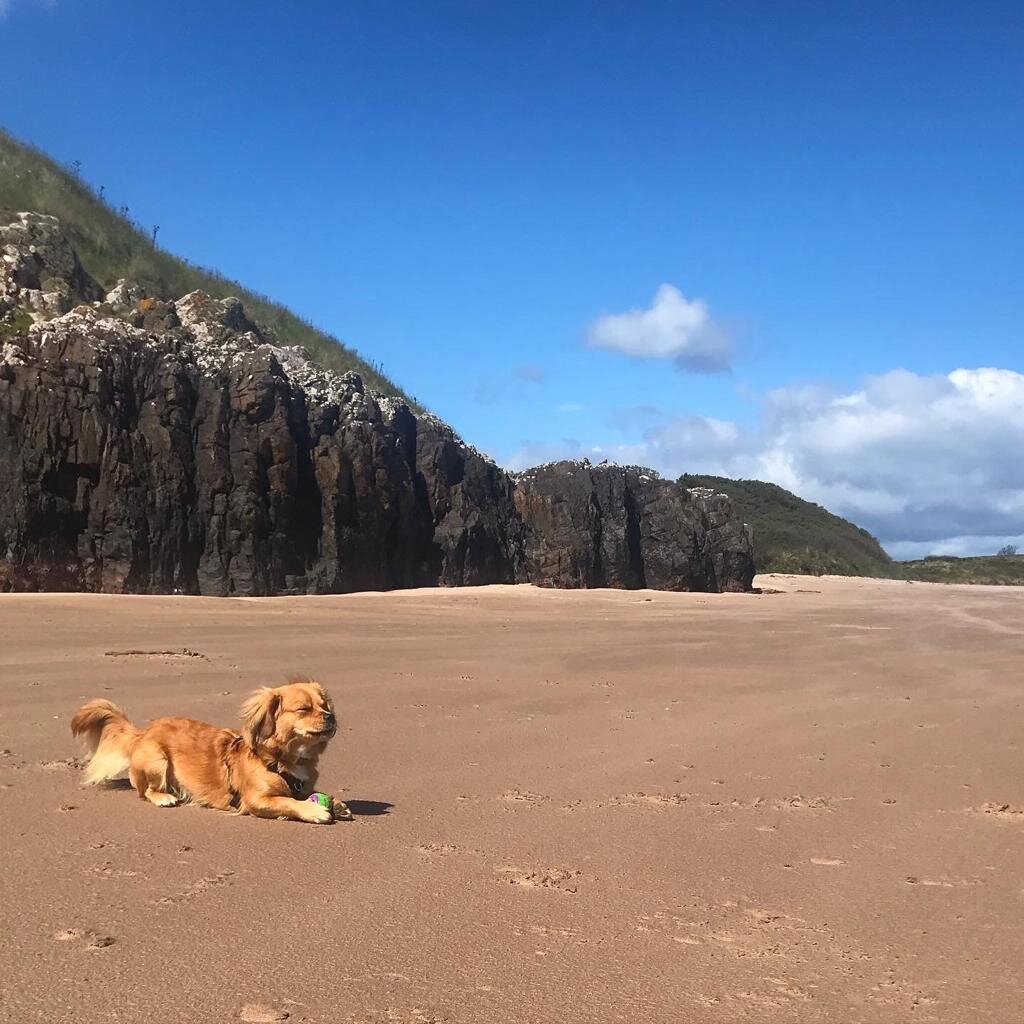 649D5FB1-8B4E-422D-A589-3C514D0225A8