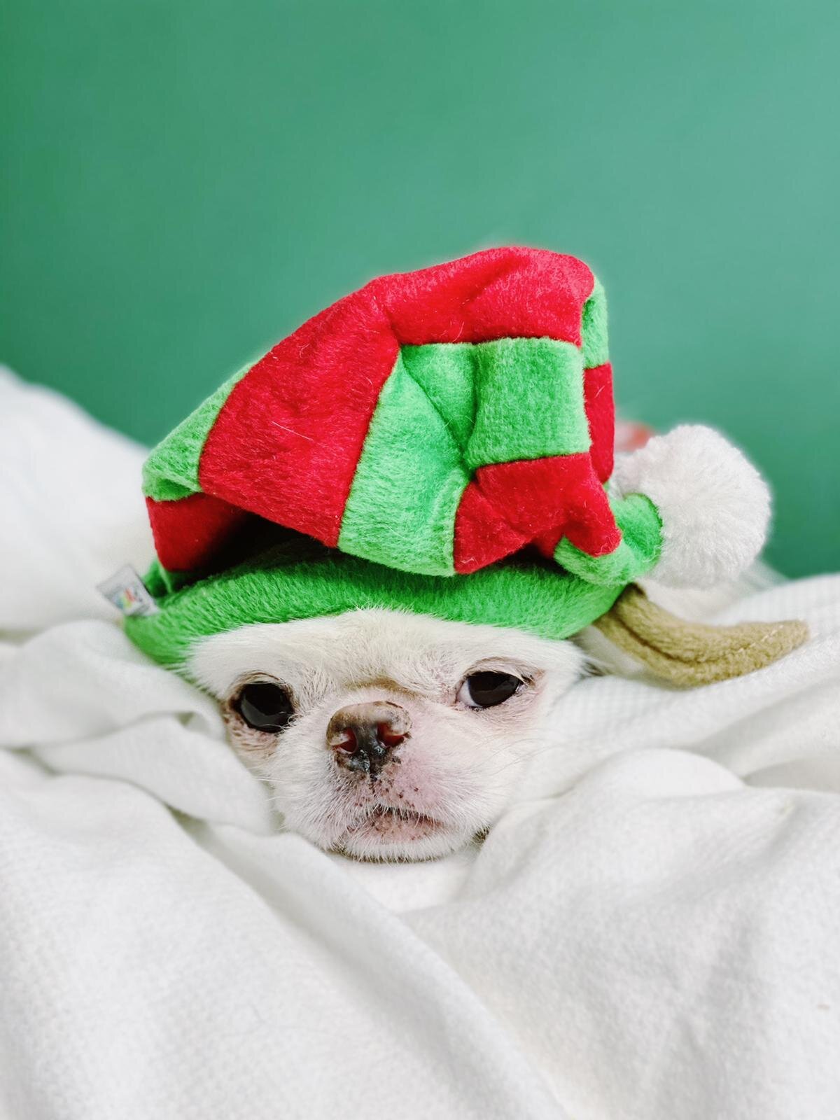 D4F820CA-6C5B-4A8F-87CF-7CD299856CC9