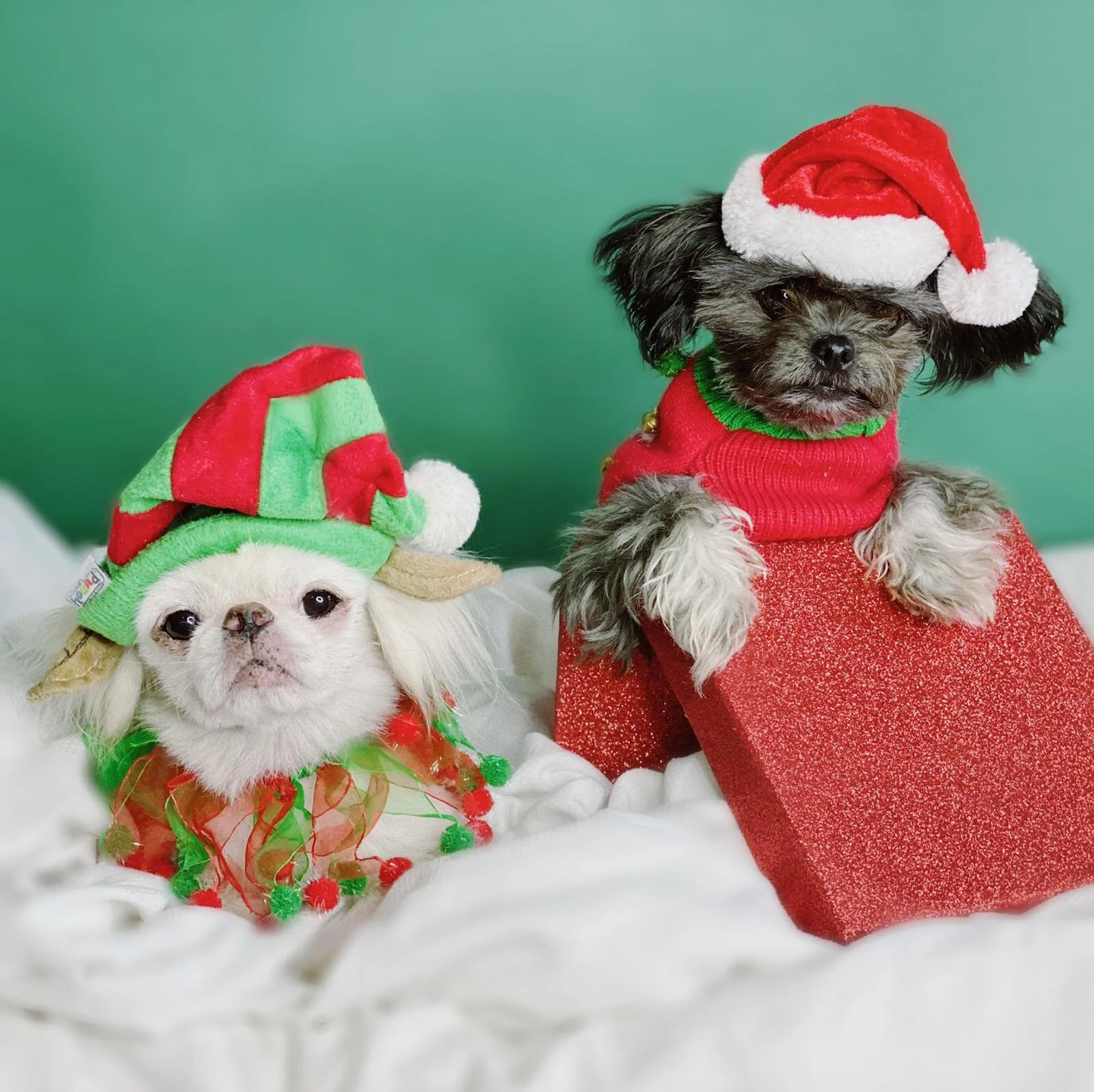 0B910544-1347-44DF-AD94-B82D17C13146