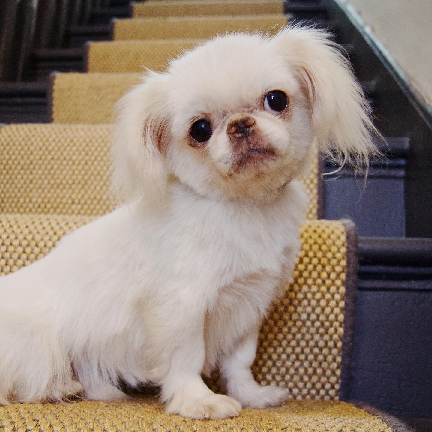 AF4E5183-31BB-4AAE-8F99-E05D05D562CB