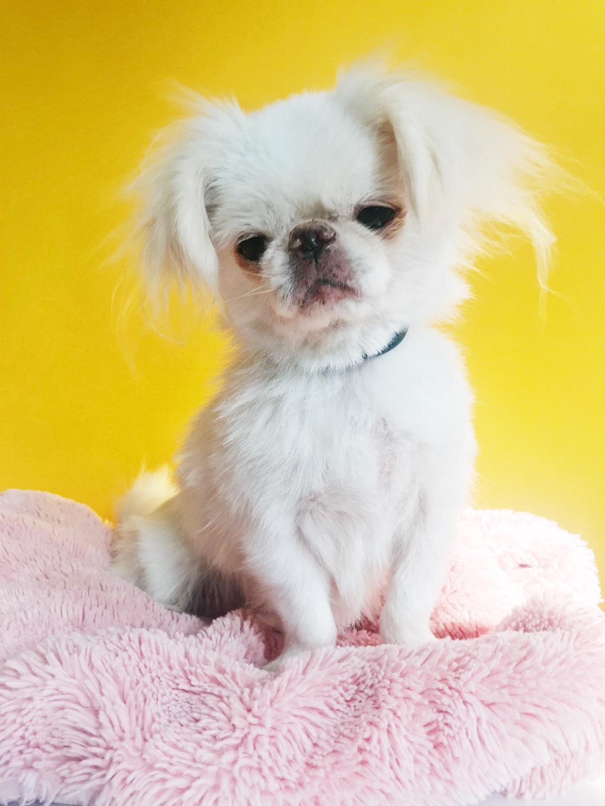 8E670761-9FAC-4D81-AC67-EC9C21049B2E