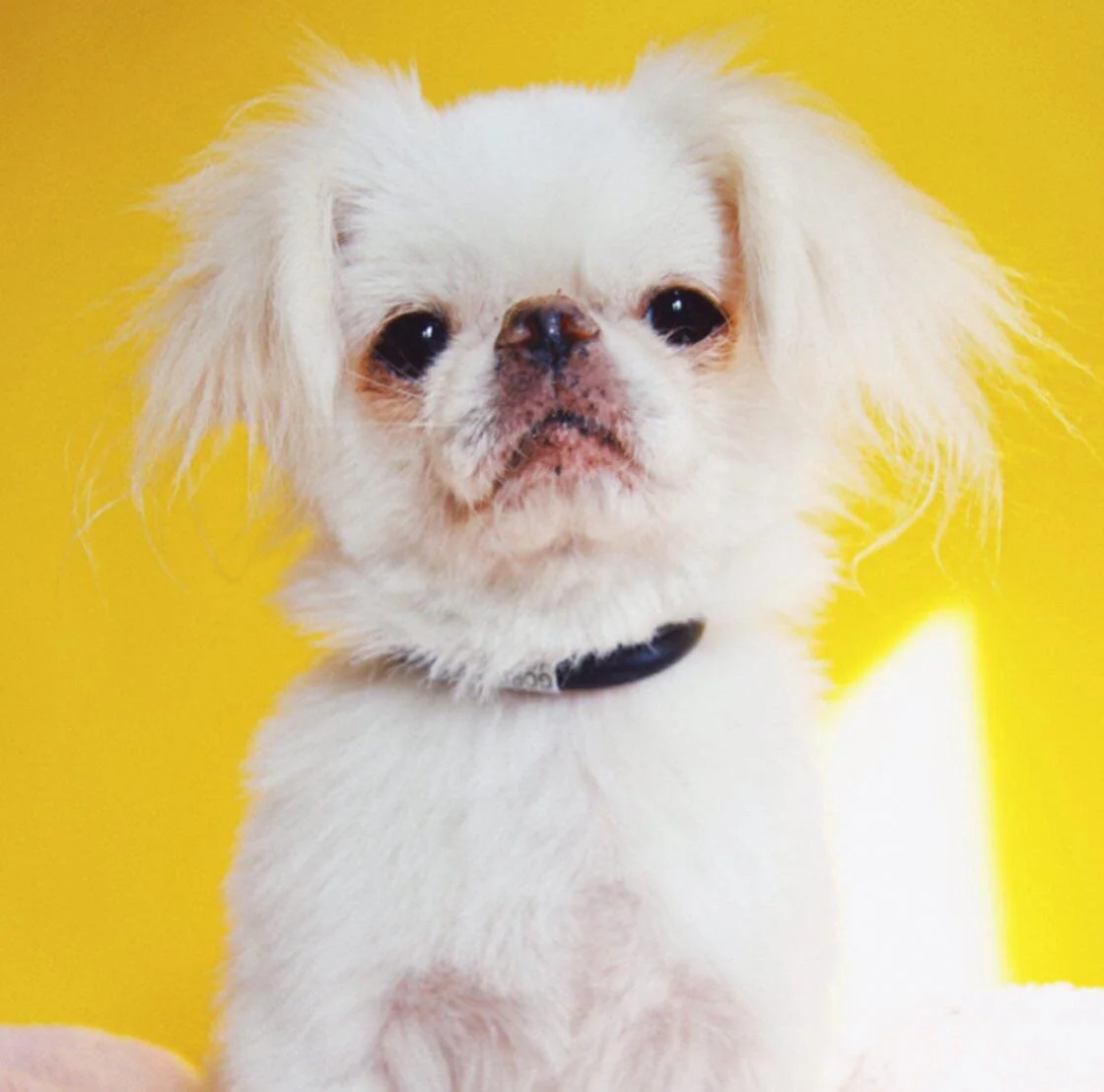 D9917C02-9546-453C-9EE9-145240F68802