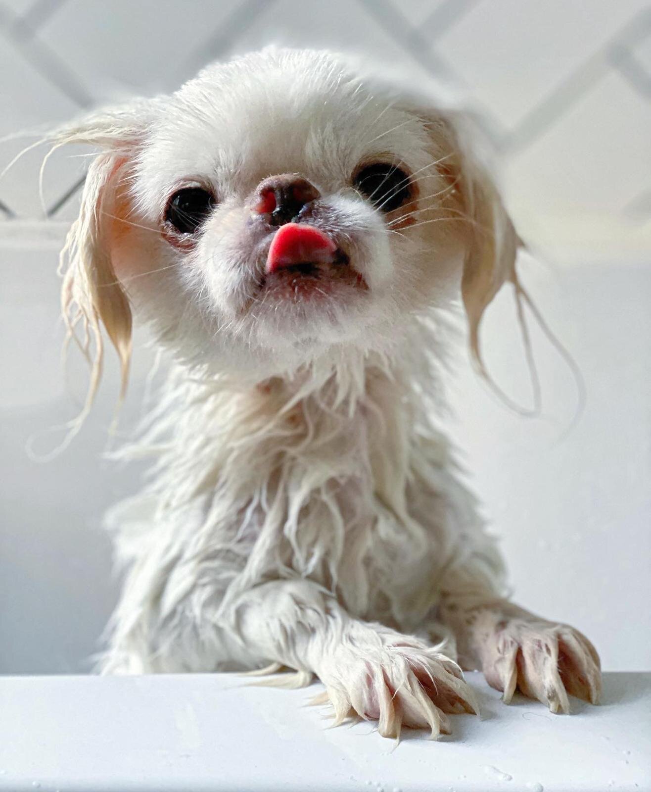 37228978-3D30-4BC1-AFF6-C6BAEF0E1A58